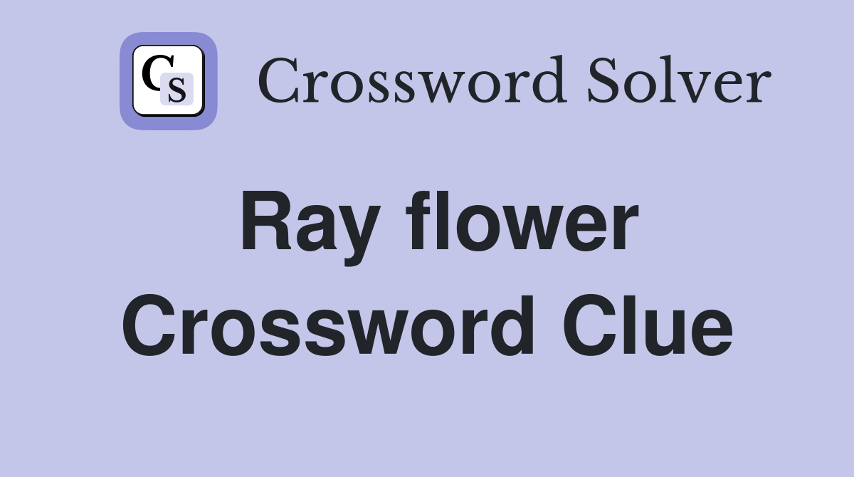 Ray flower Crossword Clue Answers Crossword Solver